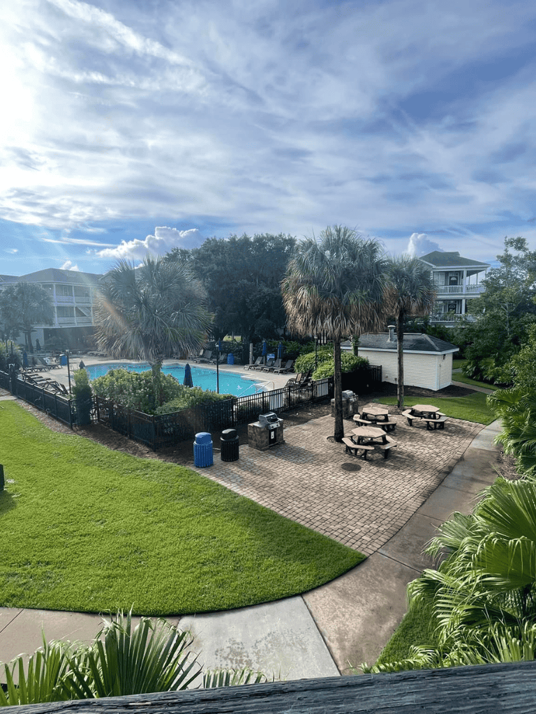 Spacious outdoor swimming pool area with palm trees and lounge chairs at QuestForDirections resort.