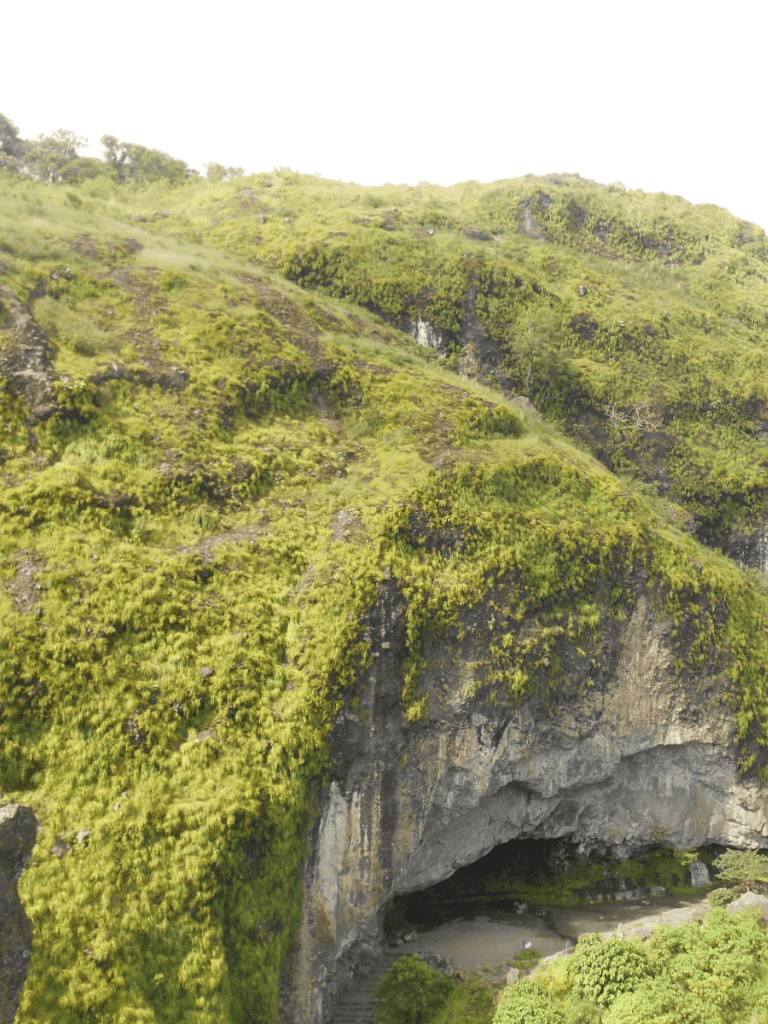 Lush green hillside with cave entrance surrounded by dense vegetation and rocky terrain.