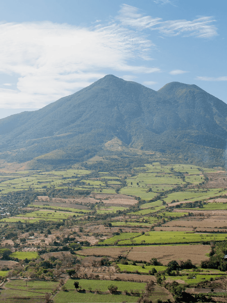 Lush green landscape with mountains and farmland in the background.