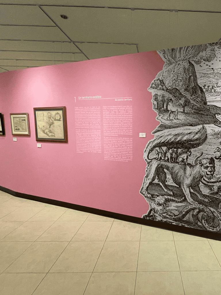 Exotic territory art exhibit at QuestForDirections museum in pink wall display.