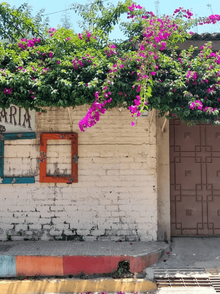 Bright pink bougainvillea flowers cascading over a rustic white brick wall with colorful frames and a patterned brown door.