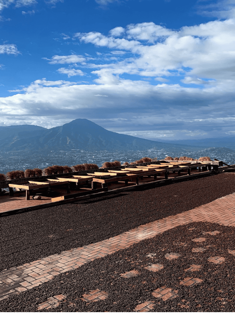 Breathtaking view of Mount St. Helens with an outdoor seating area in foreground, showcasing scenic natural beauty and outdoor dining.