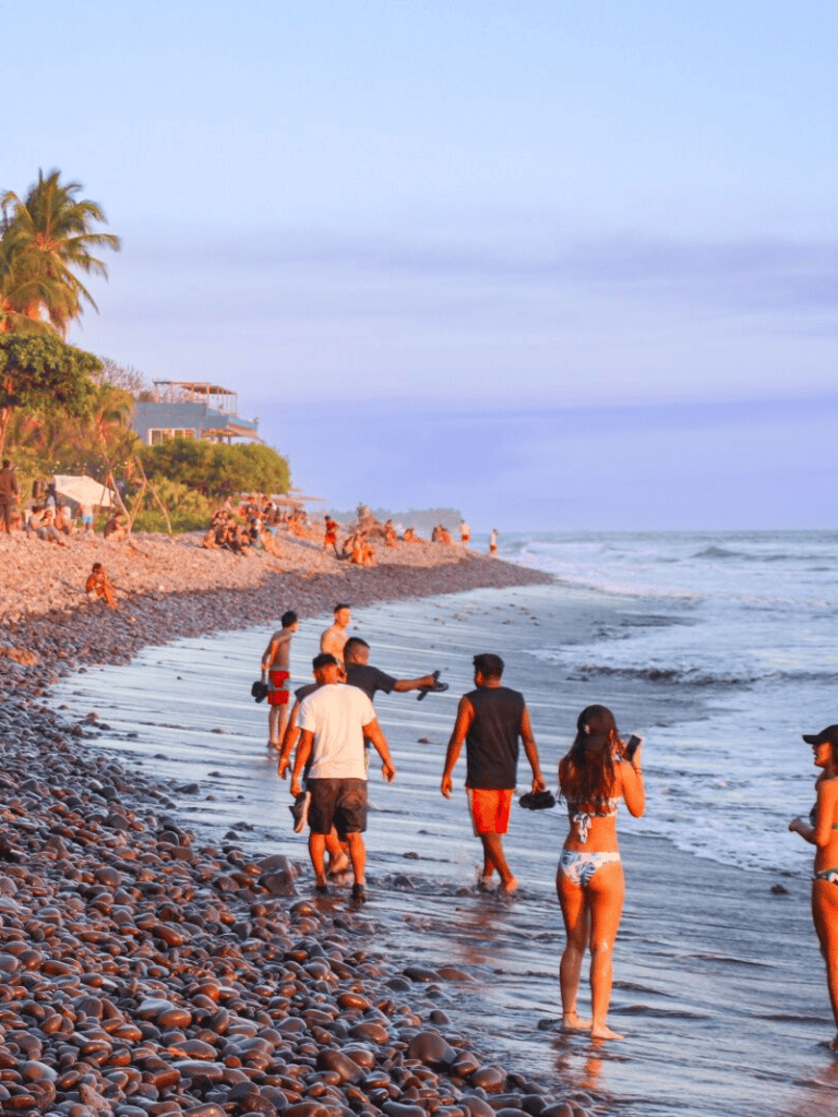 Oceanfront beach scene with people enjoying sunset, tropical palm trees, and scenic coastline for travel and tourism.