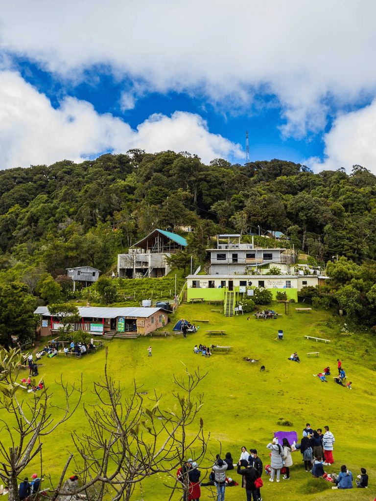 Scenic hillside with houses, trees, and visitors enjoying a park in a lush green landscape.