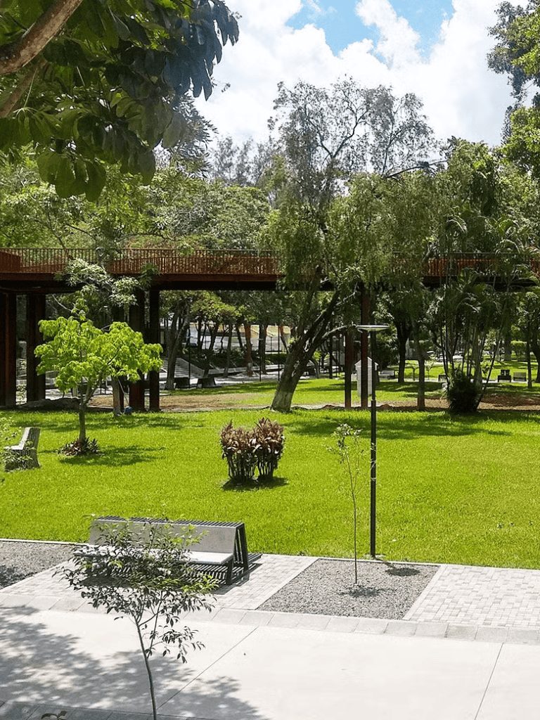 Peaceful park with lush green trees and walking paths, perfect for outdoor relaxation and getting directions.