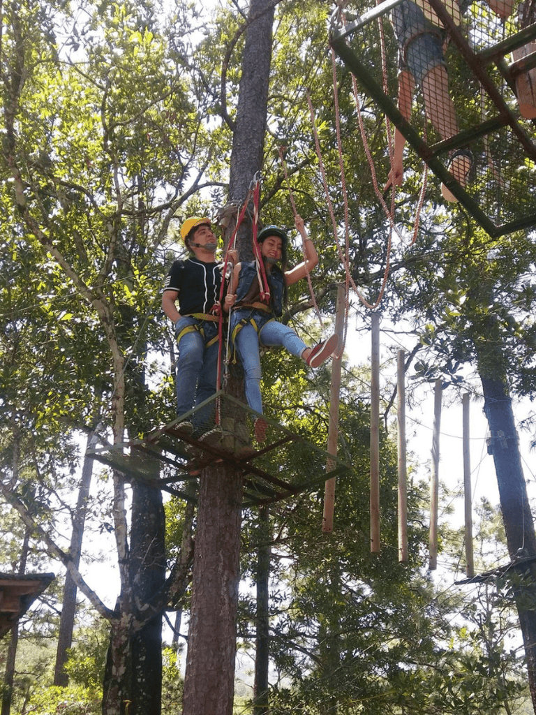 Adventure park zip lining experience in the treetops.