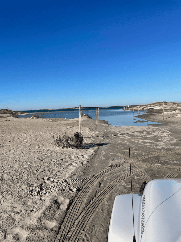 Coastal beach scene with sand, water, and clear blue sky for outdoor adventure and travel.