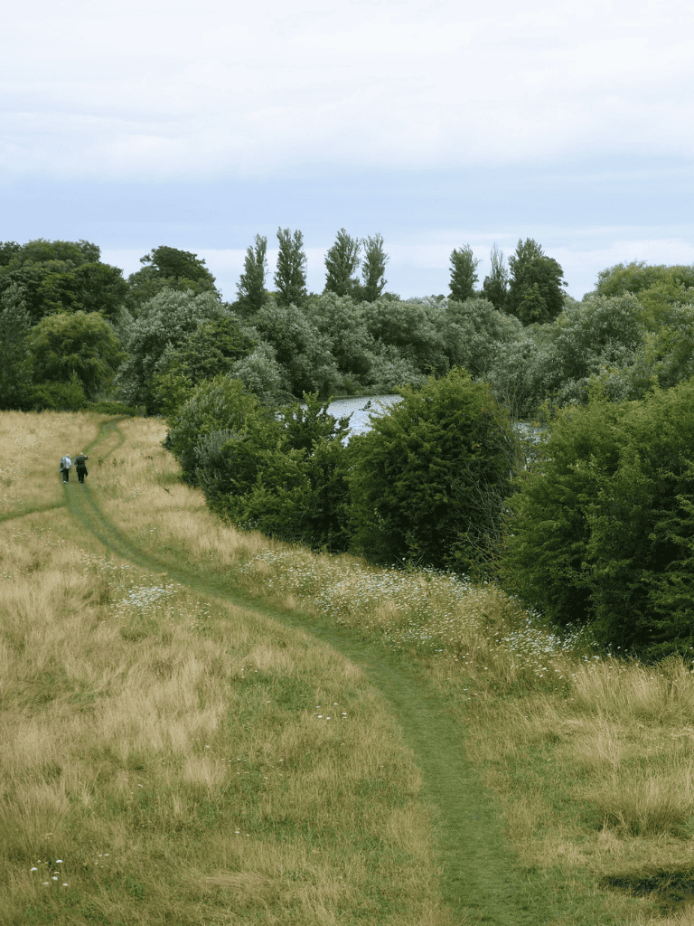 1. Lush green trail through countryside with two hikers enjoying nature.