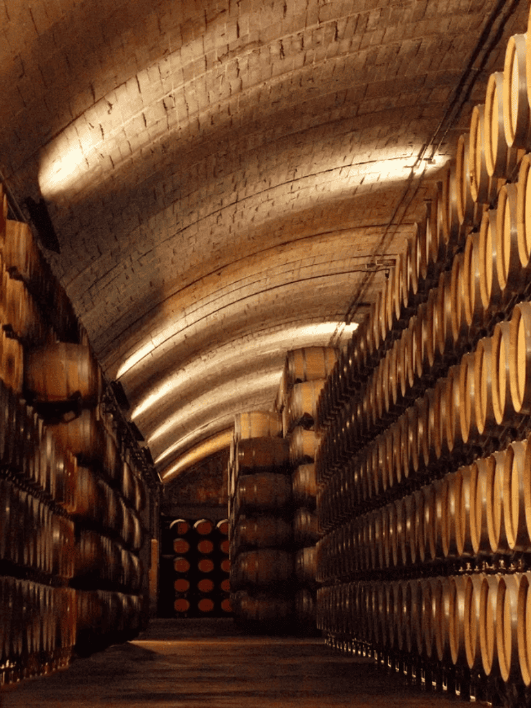 Aisle of wine barrels in a dimly lit wine cellar storage room.
