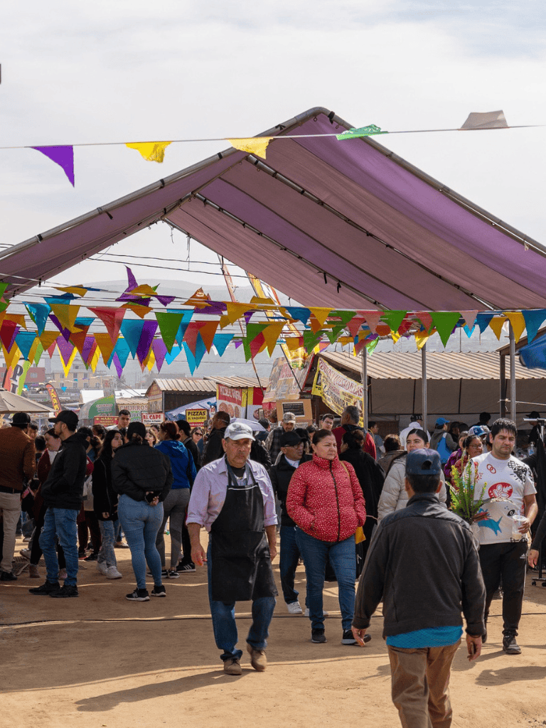 Colorful festival market with local vendors and visitors, vibrant atmosphere, and food stalls at QuestForDirections event.