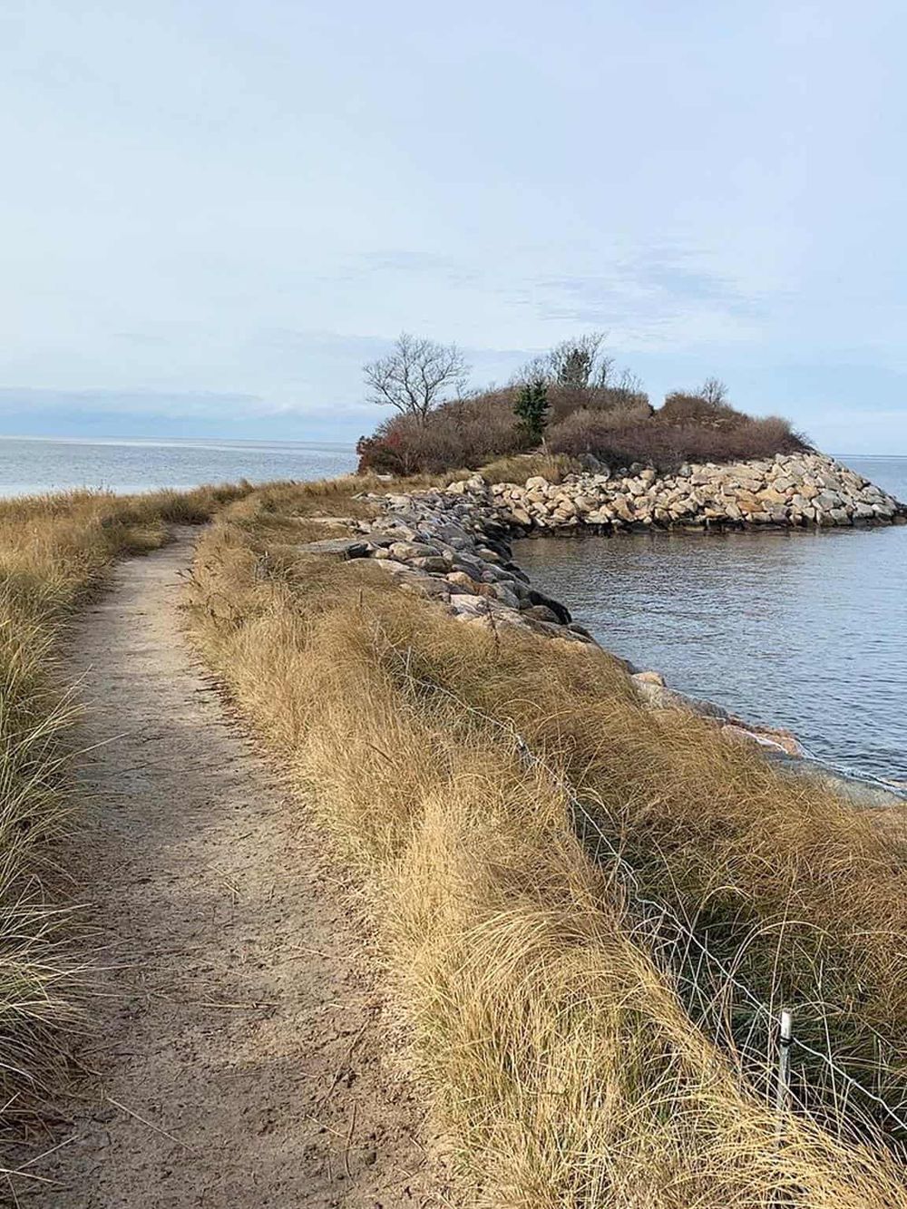 Tranquil coastal trail leading to a small rocky island with sparse trees and grasses.