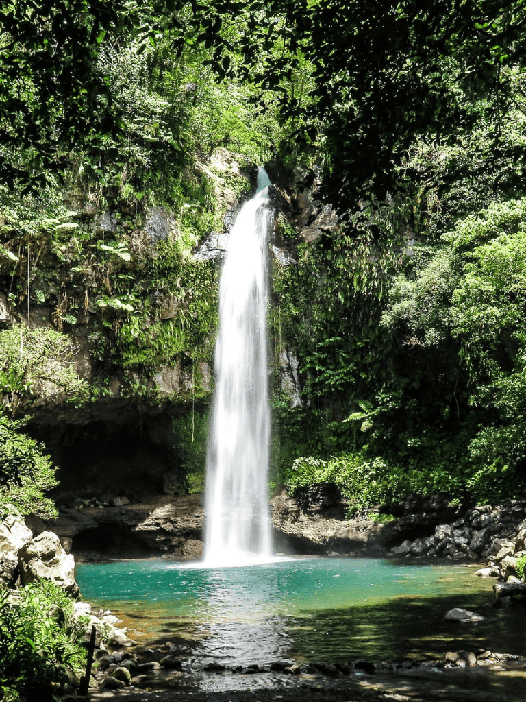 Waterfall surrounded by lush green forest for nature escape and adventure travel.