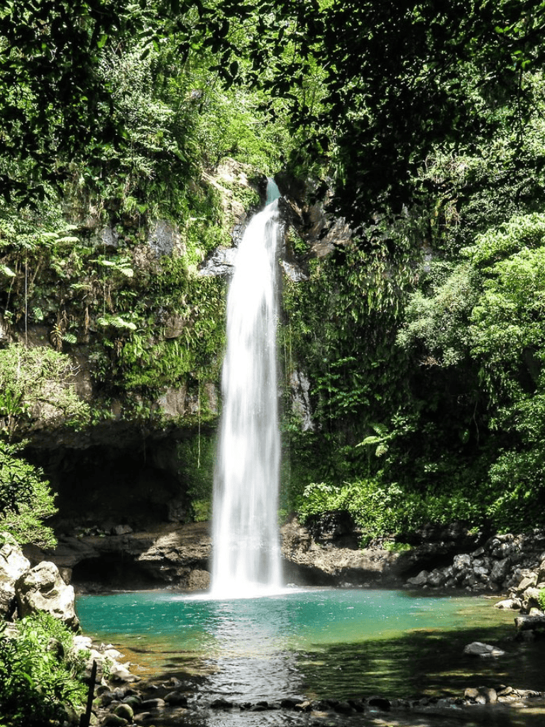 Serene waterfall in lush green jungle, tropical nature, and clear pool for relaxation.