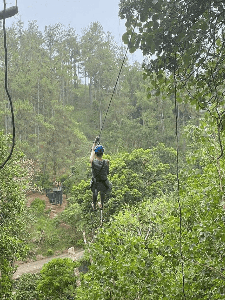 1. Zip lining adventure through lush green forest canopy with safety gear.
