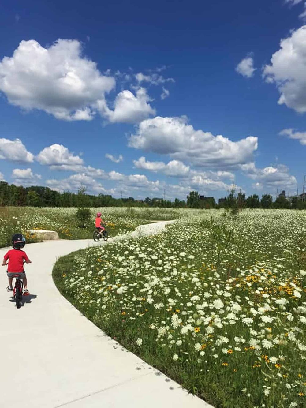 Children riding bikes on a scenic pathway amidst blooming flowers under a vibrant blue sky.