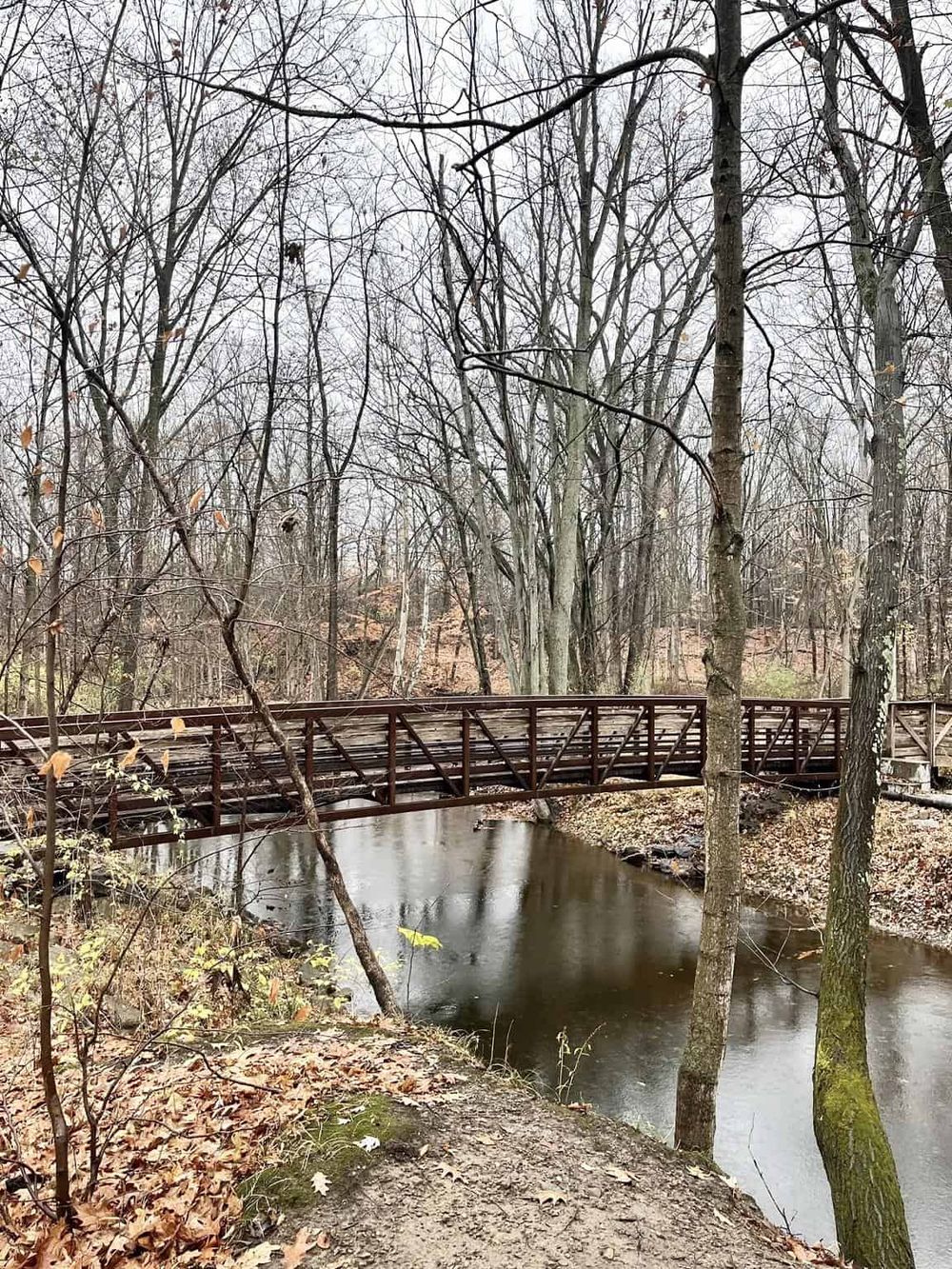 Wooden footbridge over a creek in a forest during late fall or early winter.