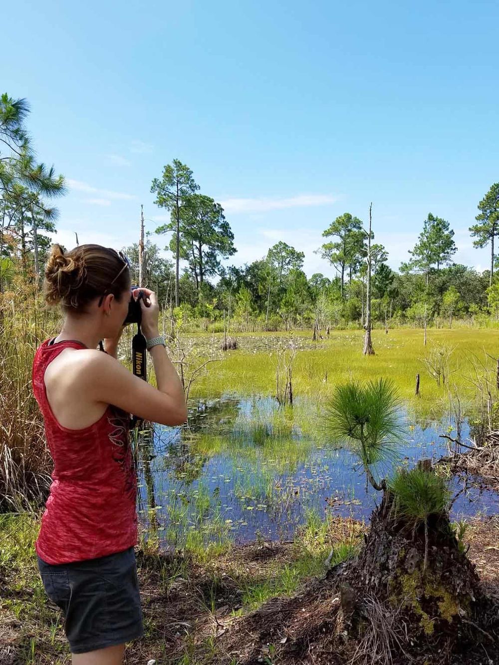 Swamp exploration in Louisiana wetlands, ideal for nature tourism and wildlife photography.