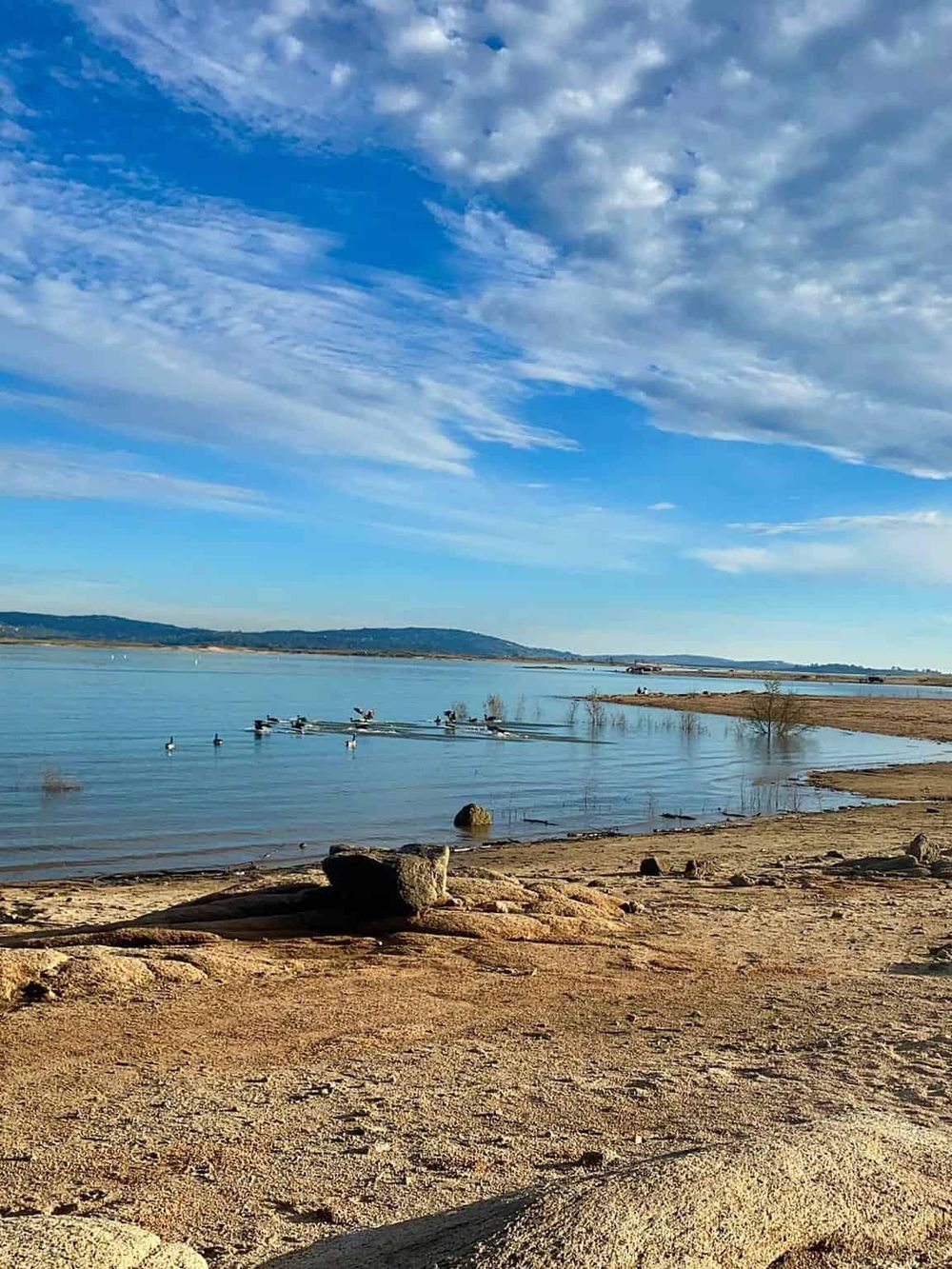 Scenic lakeside view with boats, clear skies, and sandy shores, perfect for outdoor adventures and water activities.