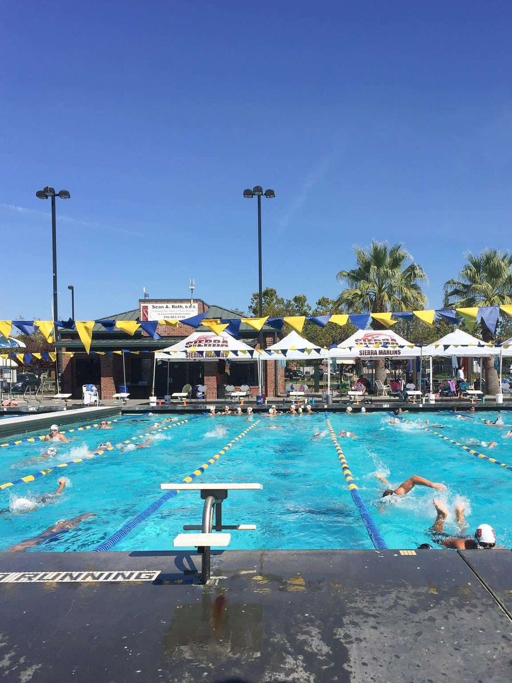 Outdoor swimming pool with swimmers under clear blue sky, surrounded by palm trees and poolside seating.