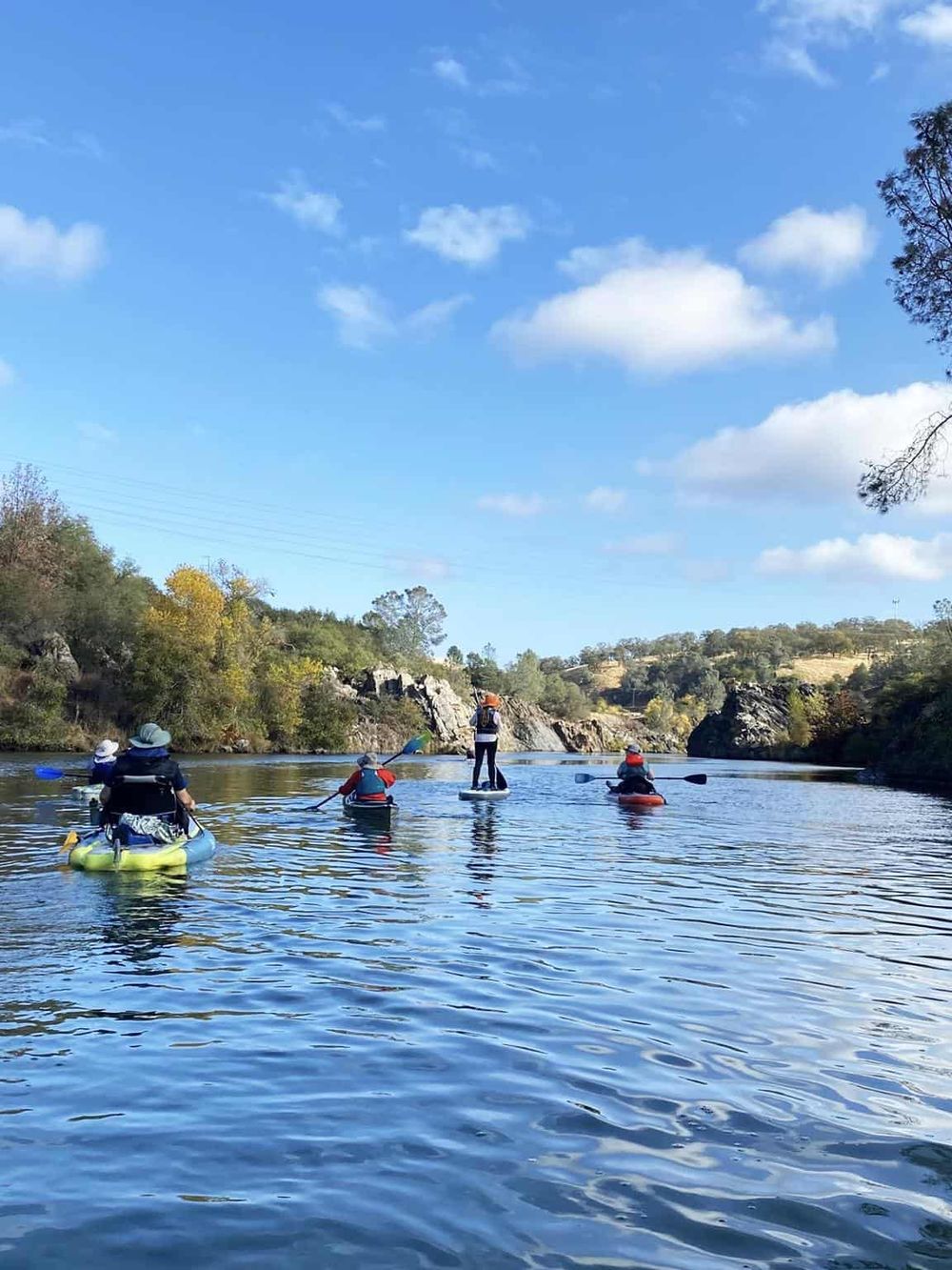 Kayakers paddling on a scenic river amidst nature, perfect for outdoor adventure and exploring nature trails.