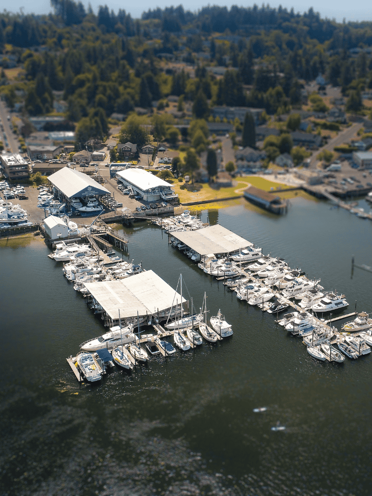 Elegant marina with boats docked on tranquil water in a scenic waterfront area.