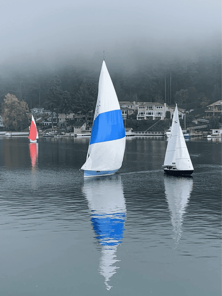 Sailboats on calm water with waterfront houses in background under foggy sky.