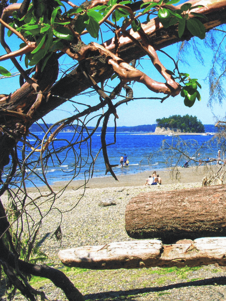 Vibrant beach scene with ocean, trees, and people relaxing on sand, perfect for travel and outdoor adventure.