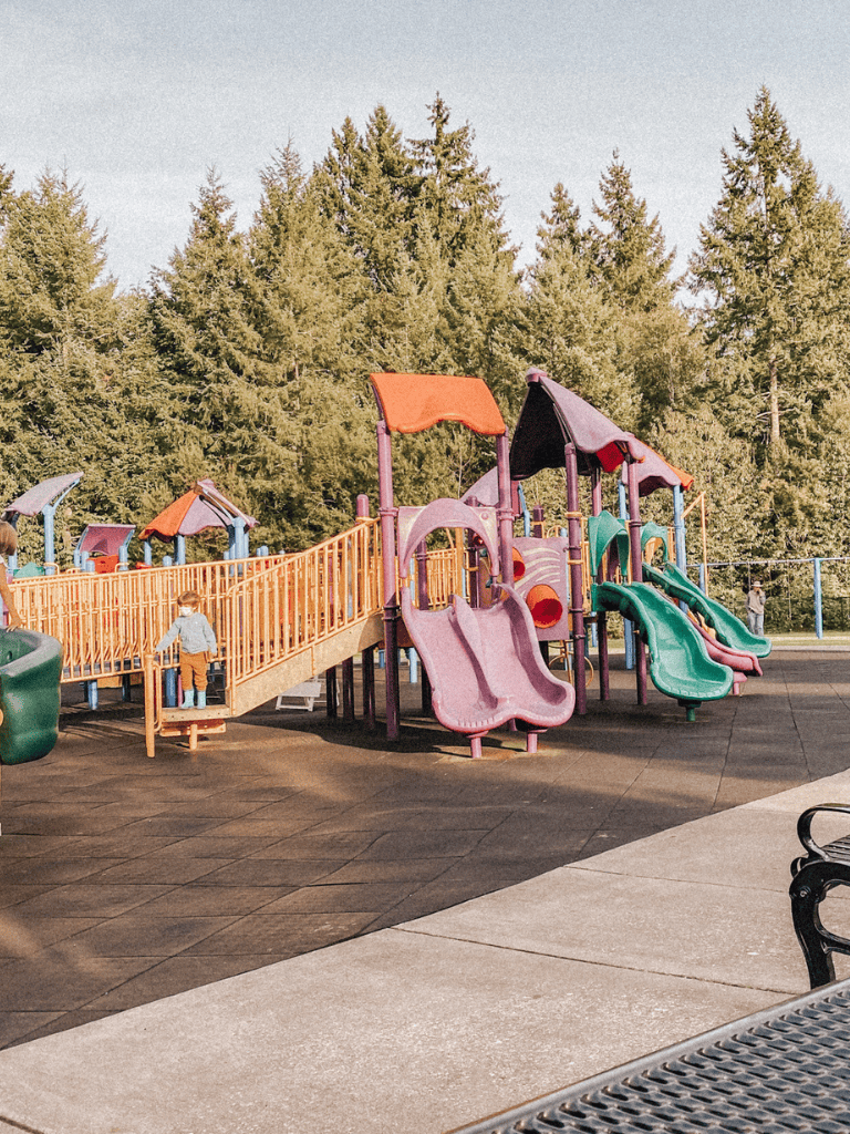 Colorful playground slides and climbing structure in a park with tall trees in the background.