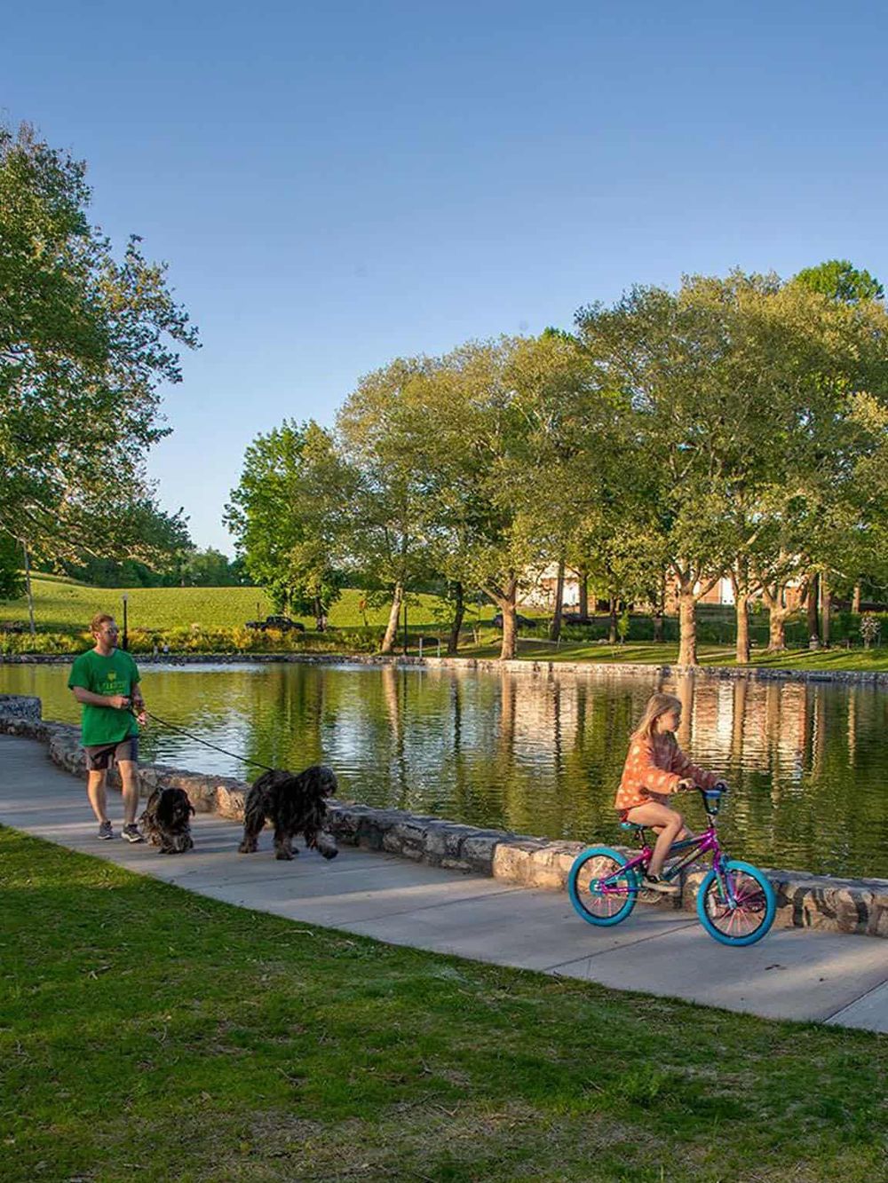 Serene park with children biking and dog walking around a pond during sunny day.