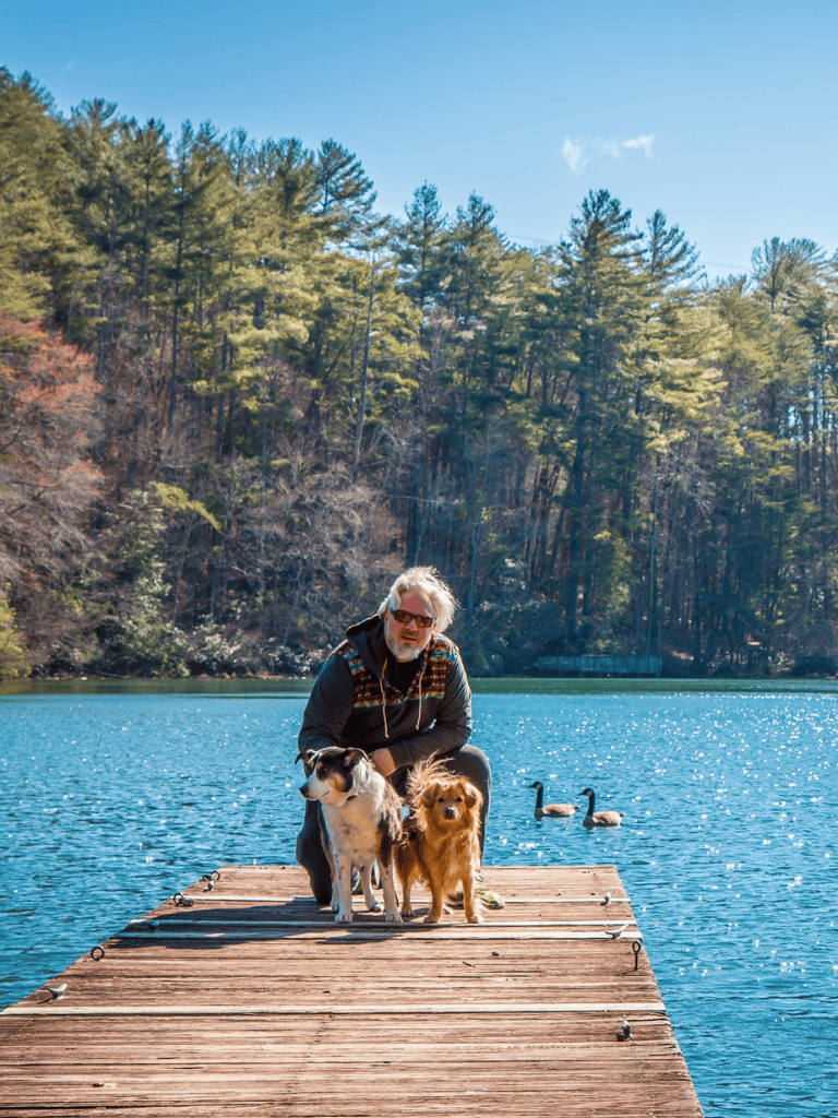 Peaceful lakeside scene with a man and two dogs on a wooden dock, surrounded by forested hills.