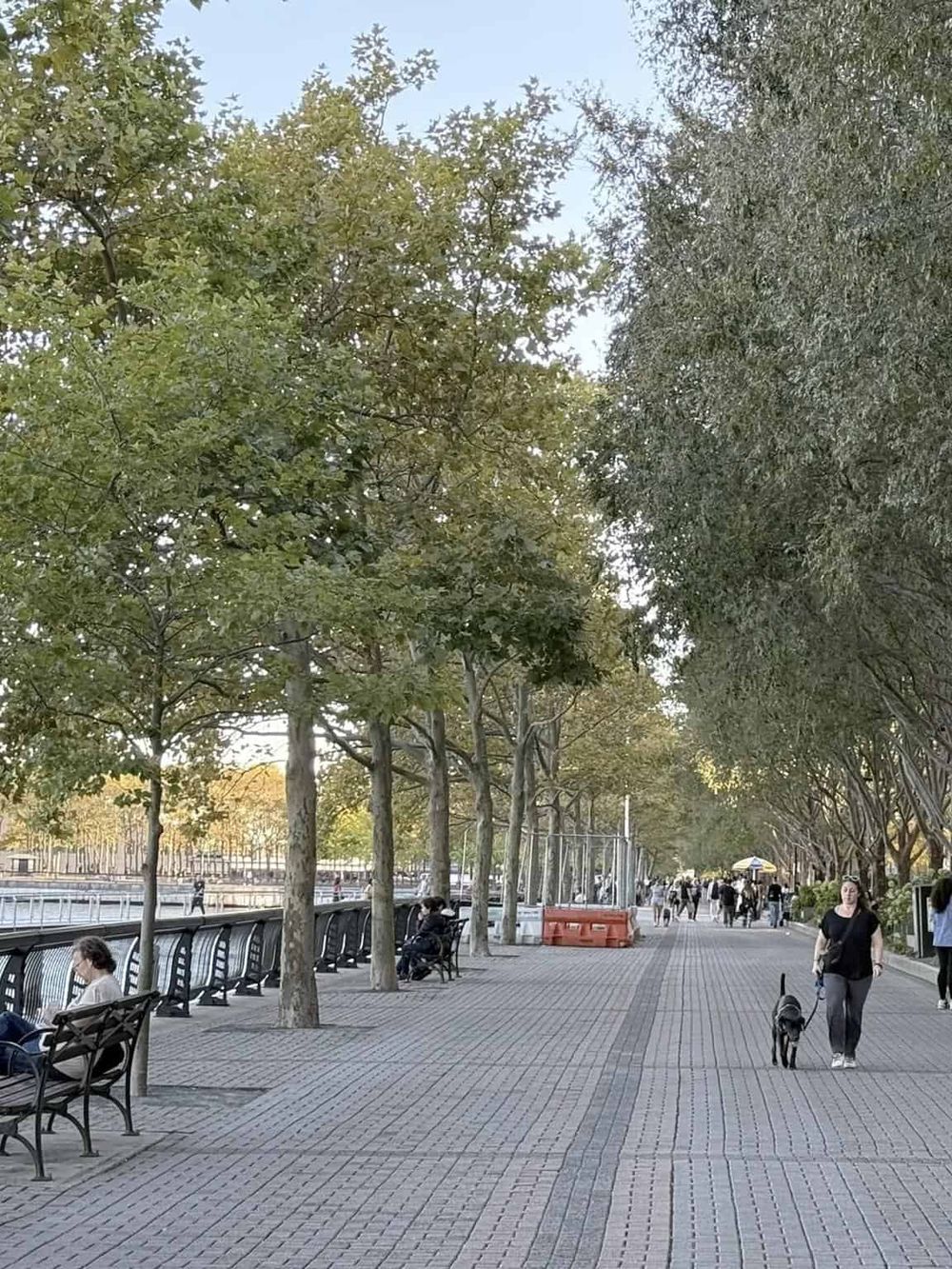Shady tree-lined waterfront walkway with benches, people strolling, and dog walking, scenic outdoor urban park setting.