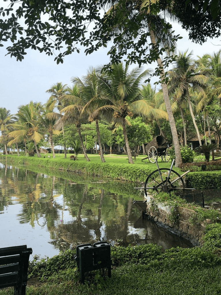 Tropical lake scene with palm trees and old waterwheel along lush greenery, tranquil water reflections, and scenic outdoor landscape.