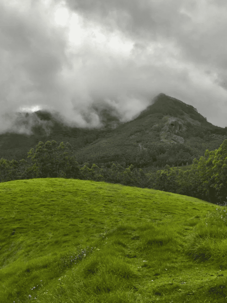 Lush green meadow with mountain backdrop and cloudy sky, scenic outdoor landscape for adventure.