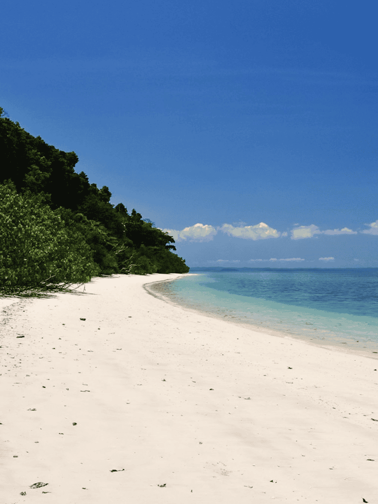 Tranquil beach with white sand, blue ocean, and lush green trees under a clear sky.