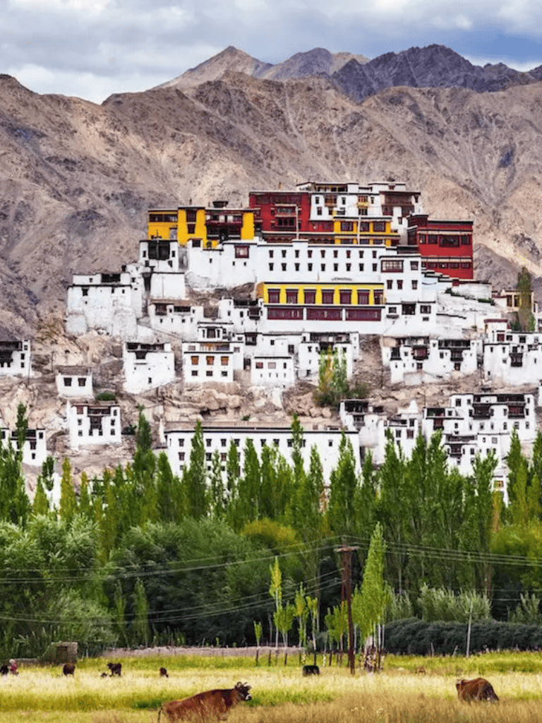 Colorful hillside monastery in a mountainous region with lush green fields and grazing animals.