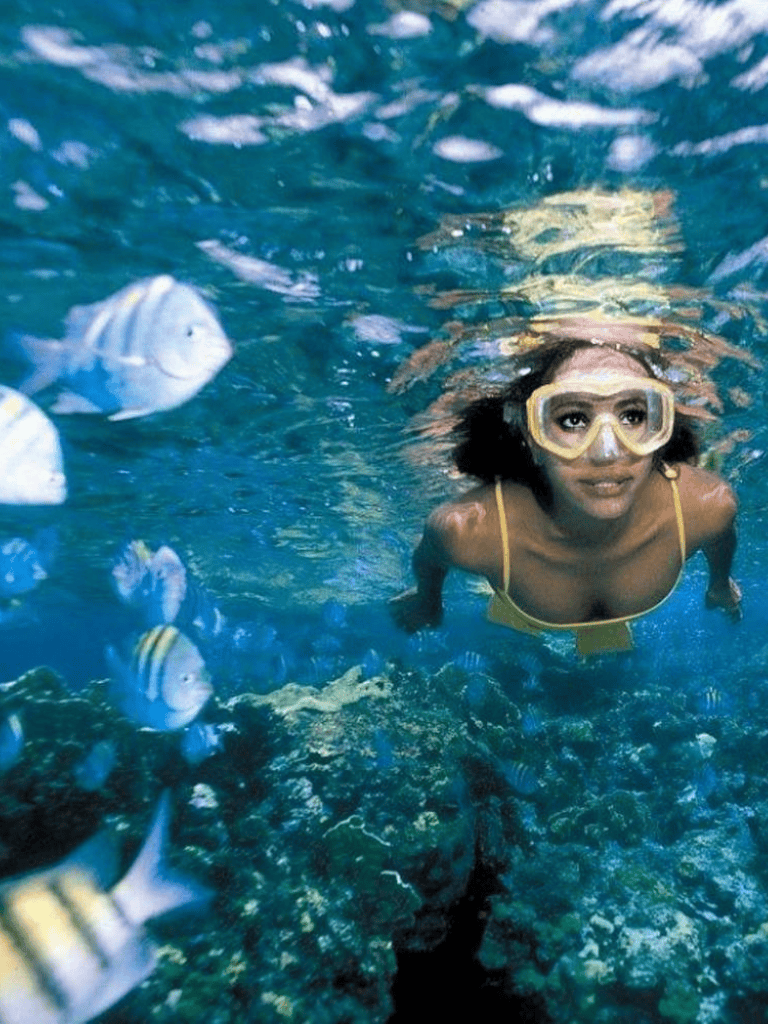 Scuba diver exploring vibrant coral reef with colorful fish underwater.