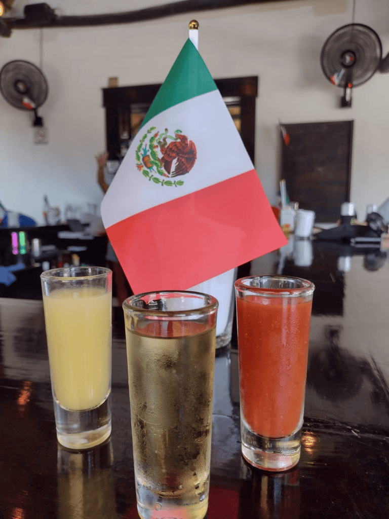 Mexican flag with traditional drinks, tequila and fruit juices, celebration, cultural, authentic Mexican beverages, Mexico flag on table.