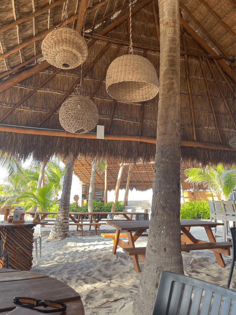 Relaxing beachside restaurant with woven pendant lights, palm trees, and sandy floor.