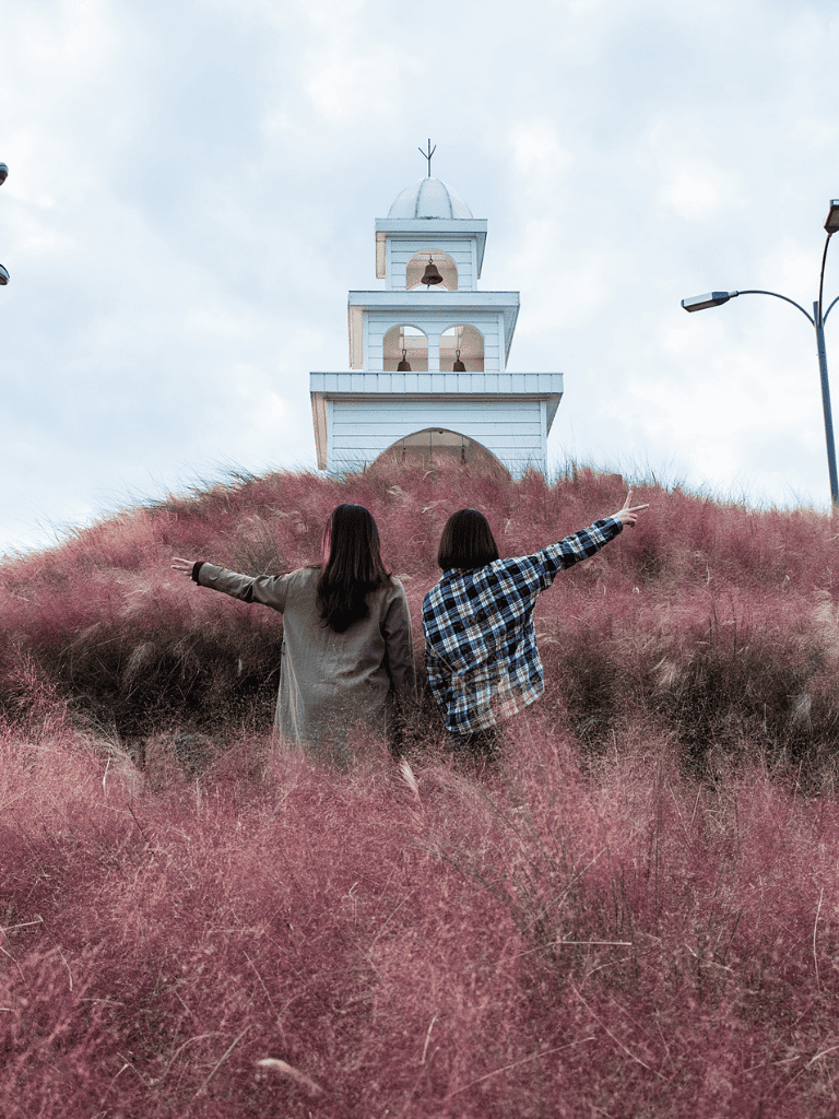 Vibrant pink grass with two women pointing towards a white lighthouse on a hilltop.