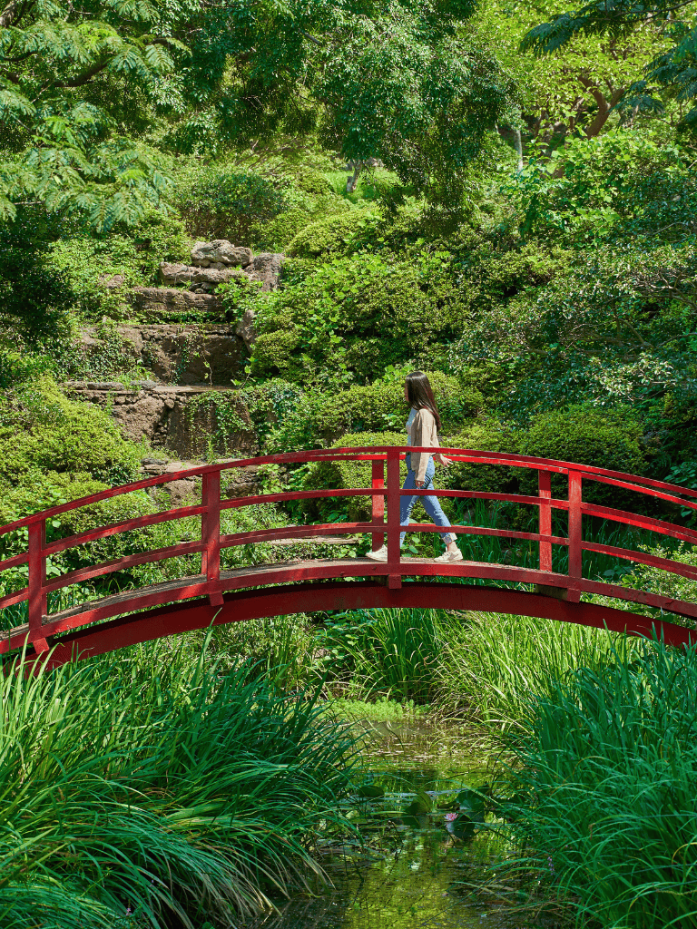 Relaxing garden with a red wooden bridge and lush greenery for peaceful nature walks.