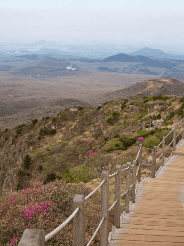 1. Mountain trail with wooden walkway, pink flowers, and scenic views at QuestForDirections.