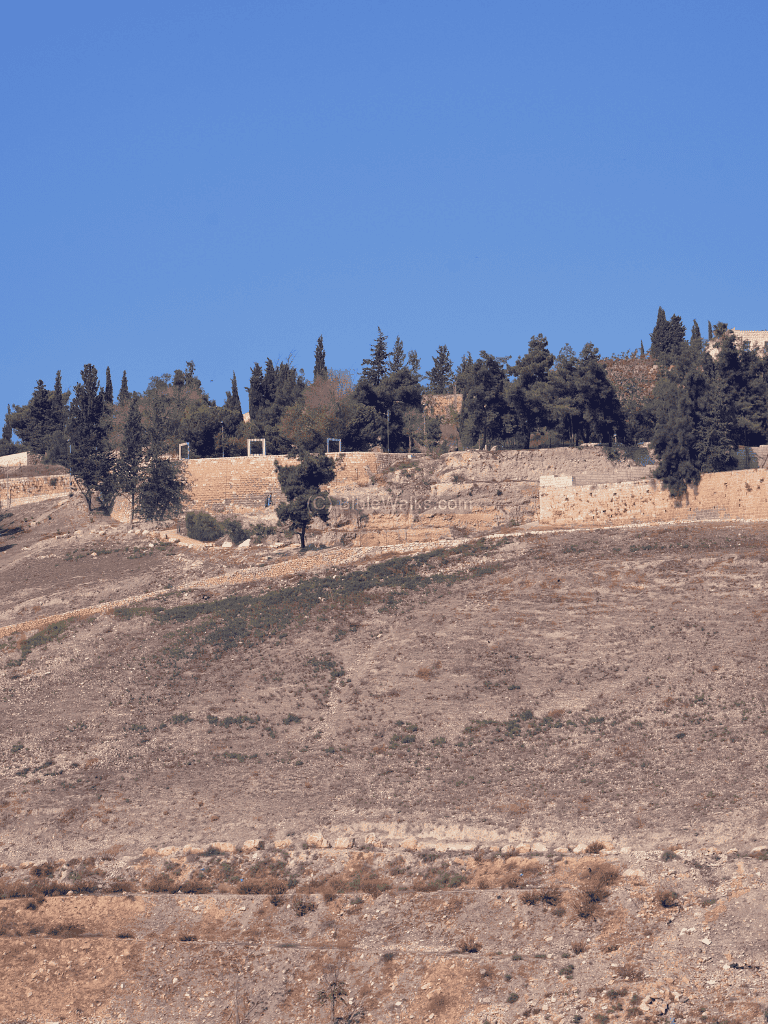 Ancient hillside with stone terraces and trees near Jerusalem, Israel, under a clear blue sky.