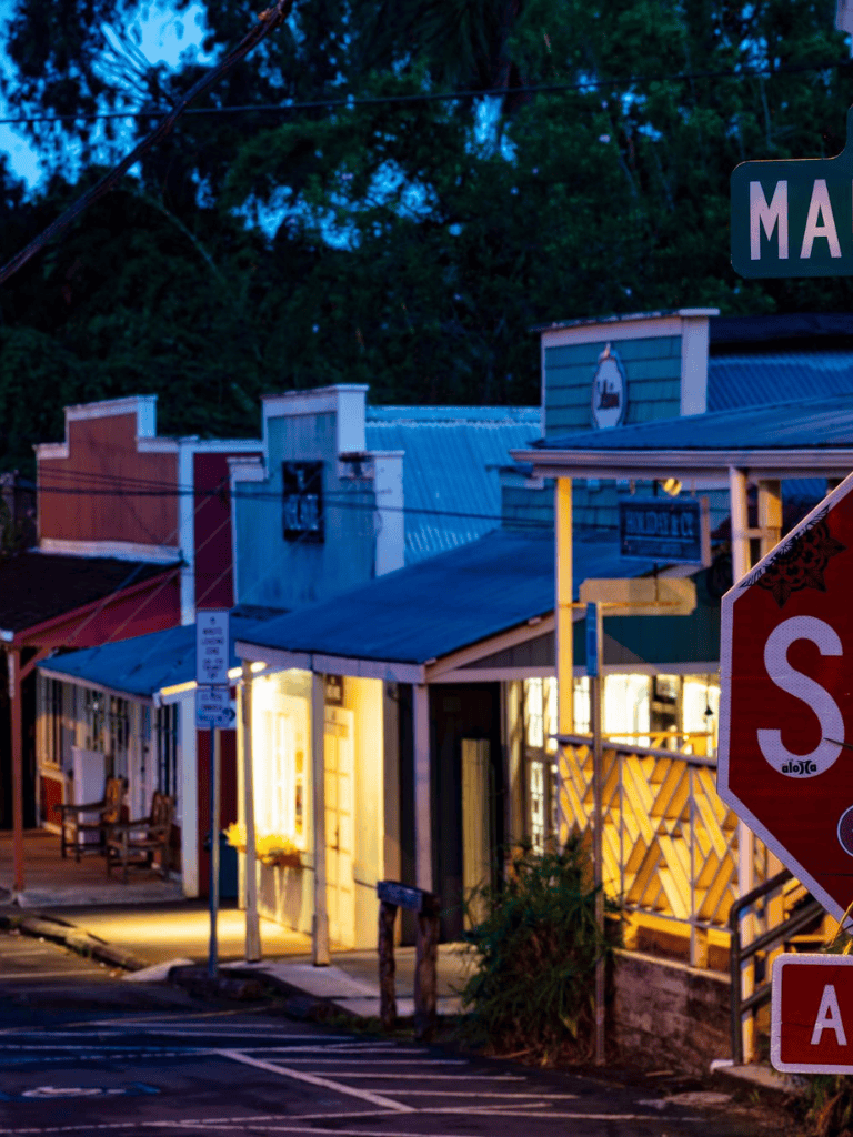 Cozy small-town street with illuminated storefronts and traffic signage, perfect for shopping and exploring local culture.