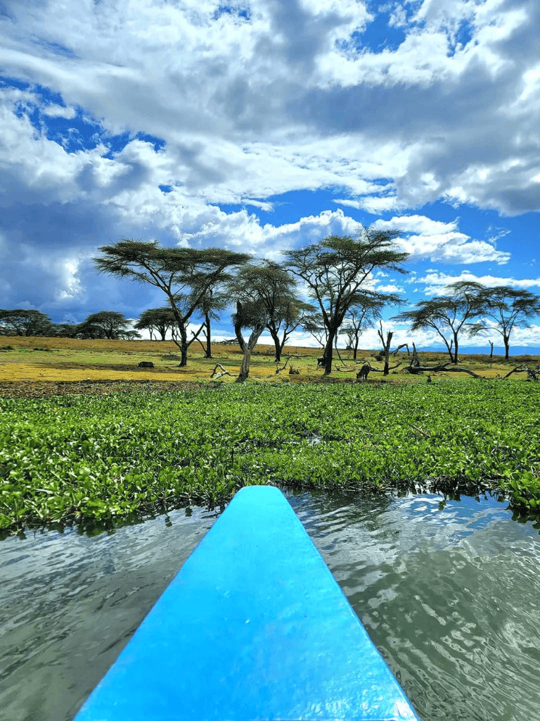 Aerial view of safari landscape with water, acacia trees, and wildlife in Kenya.