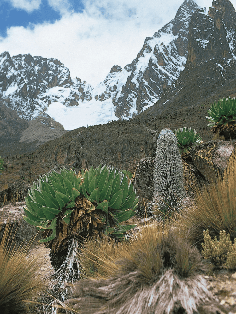 Sandstone mountain peaks with snow, alpine plants, and rugged terrain in a scenic mountain landscape.