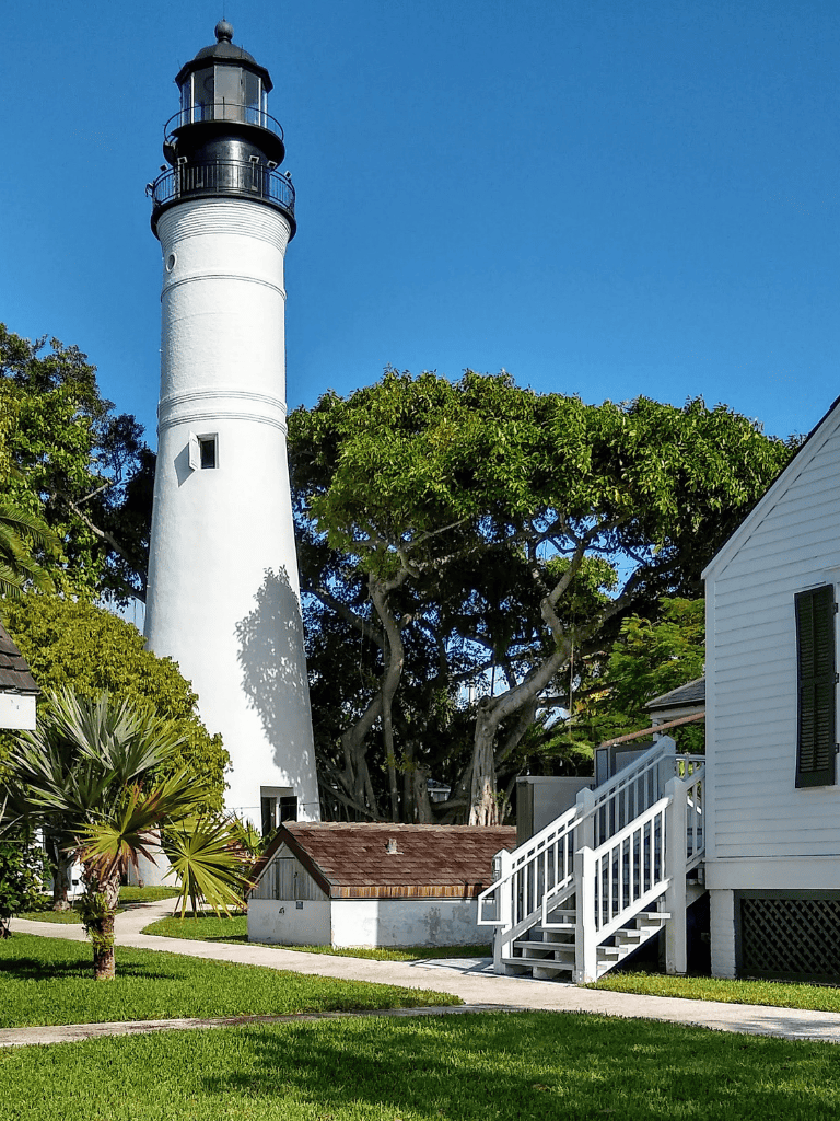 Lighthouse and coastal scenery with lush trees and residential buildings, emphasizing navigation and travel inspiration.