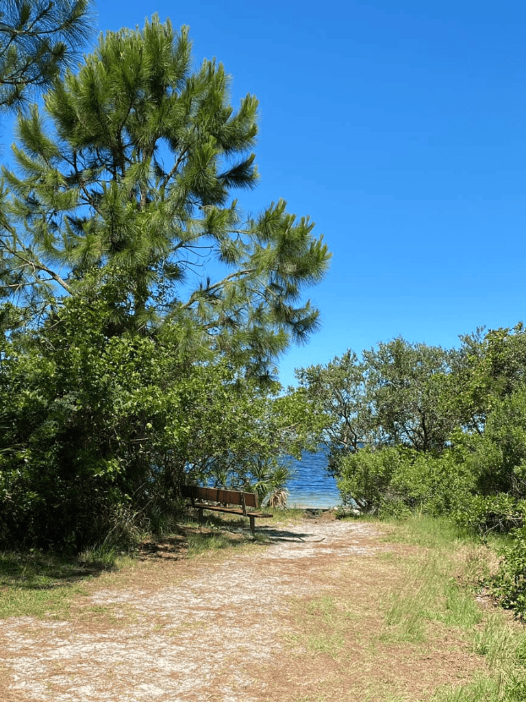 Peaceful lakeside trail with lush greenery and seating, perfect for scenic outdoor exploration.