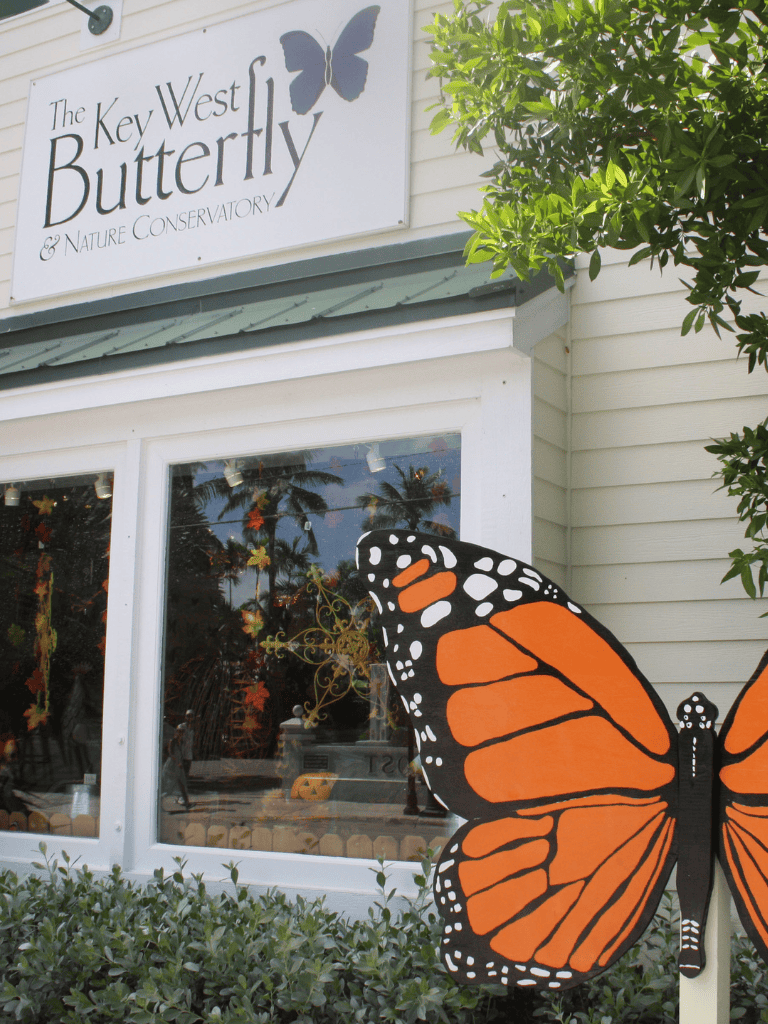 Colorful butterfly sculpture at The Key West Butterfly & Nature Conservatory, vibrant tropical attraction in Key West.