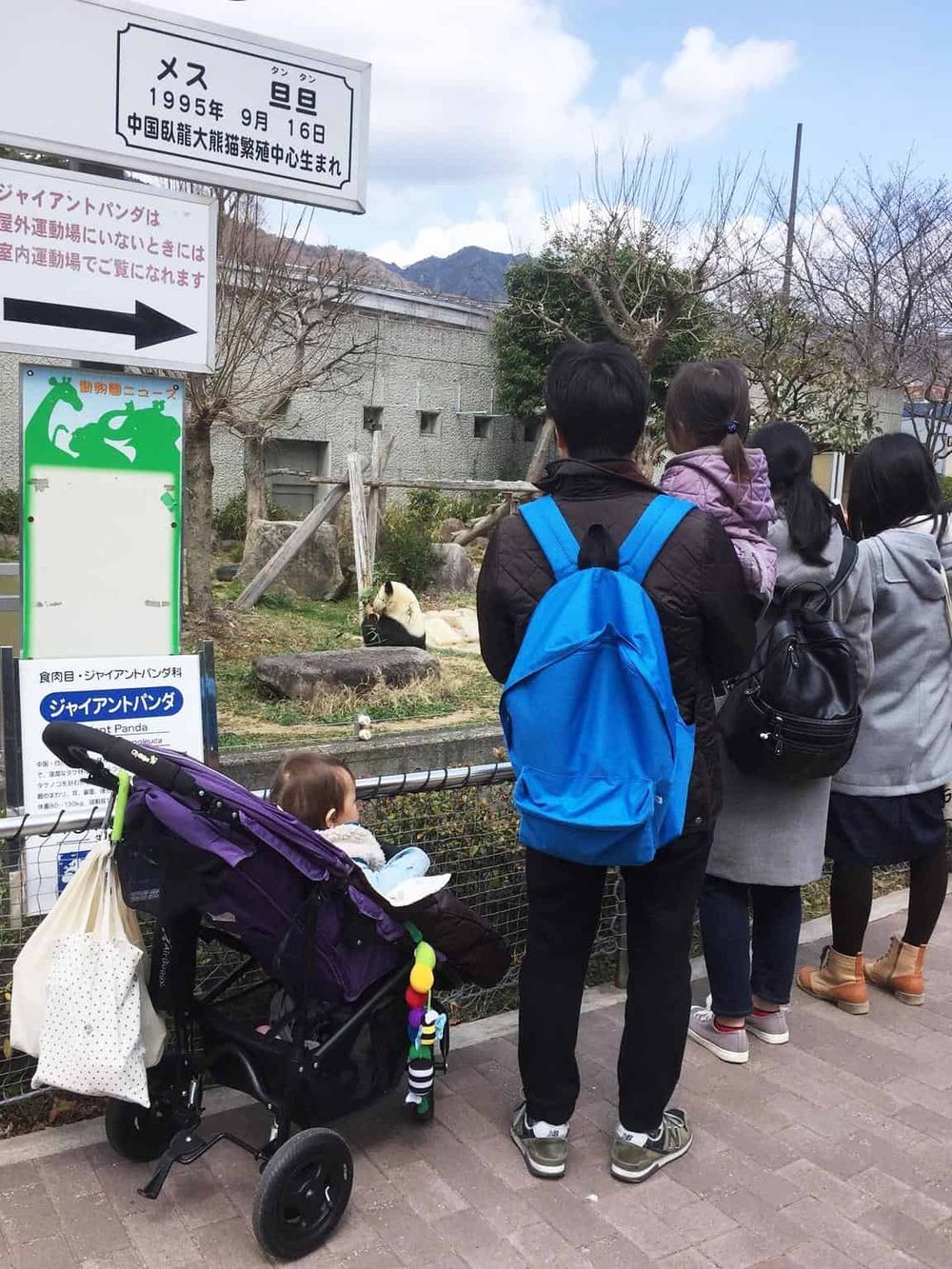 Giant panda exhibit at Quest for Directions zoo with visitors and children, wildlife conservation, and animal education.