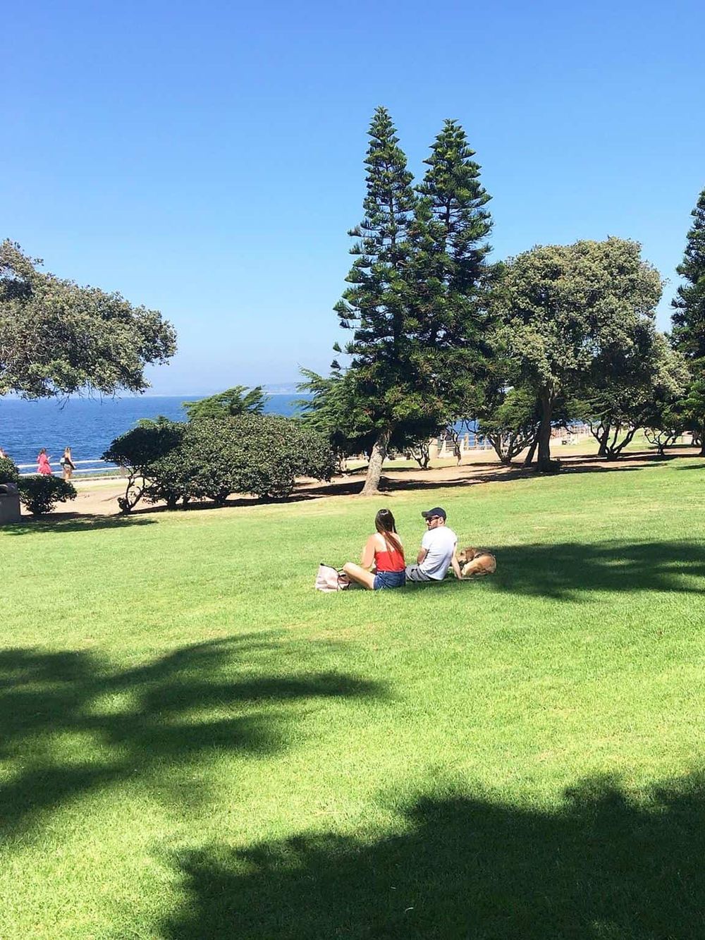 Relaxing park by the ocean with green grass, trees, and visitors enjoying the sunny day.